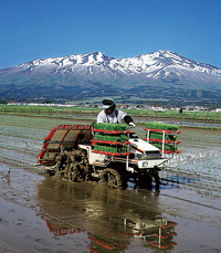 전국 6개 산지에서 생산되는 연간 15만섬의 쌀을 소비함으로써 환경보전형농업을 생산자와 함께 넓혀간다.
