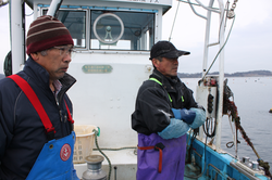 船上から養殖場を見つめる歌津のかき生産者。左から阿部亀行さん、高橋清喜さん