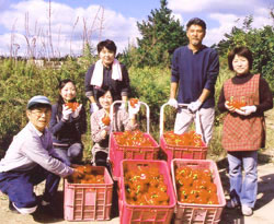 収穫したパプリカを前に、大谷さん夫婦（右の2人）と参加者 