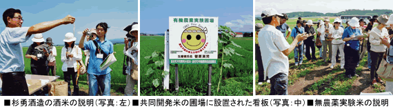 ■杉勇酒造の酒米の説明（写真：左）■共同開発米の圃場に設置された看板（写真：中）■無農薬実験米の説明
