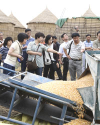 鶏東で収穫されたトウモロコシについて説明を受ける訪問団
