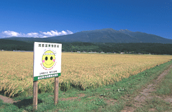 山形県遊佐町（JA庄内みどり）に立つ減農薬実験圃場の看板