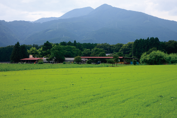 牧草地が広がる栃木県の那須地域