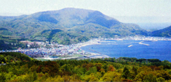 北海道古平町の全景