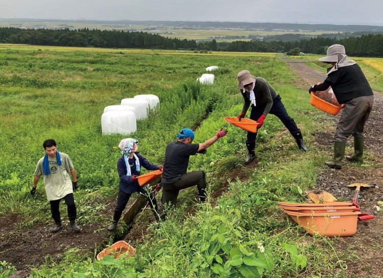 山形県庄内地域の豪雨災害で復興支援 田んぼに流れ込んだ土砂を撤去する様子