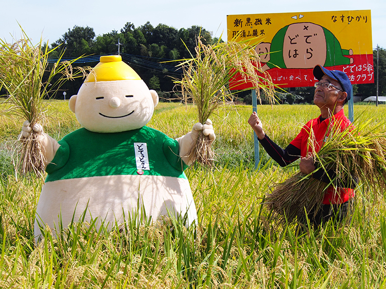 生産者が語る 共同開発米の魅力と日本の農業をささえるかたち 生協の食材宅配 生活クラブ生協