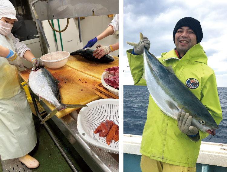 ビオサポ食材セット「ブリあら大根・糖しぼり大根付」の生産者の漁や調理をする様子