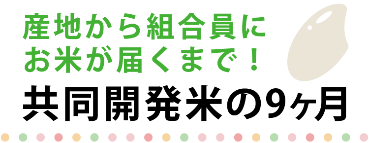 産地から組合員にお米が届くまで! 共同開発米の9ヶ月