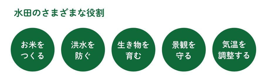 水田のさまざまな役割