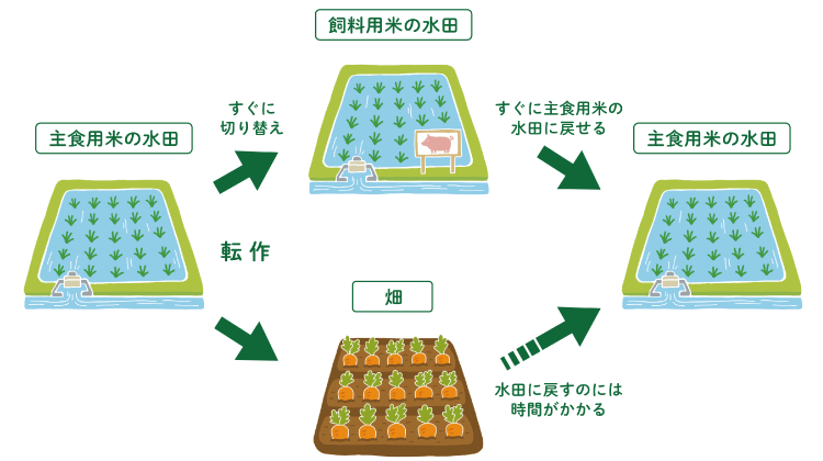 水田の畑への転換図