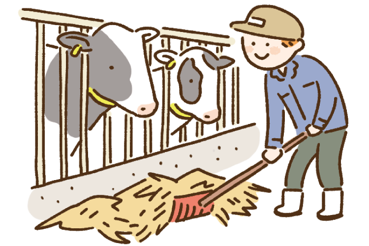 生産者が牛の世話をしているイラスト