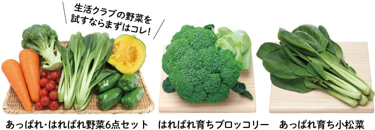 あっぱれ・はればれ野菜6点セット、はればれ育ちブロッコリー、あっぱれ育ち小松菜