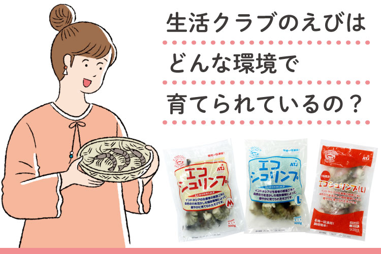 生活クラブのえびはどんな環境で育てられているの？