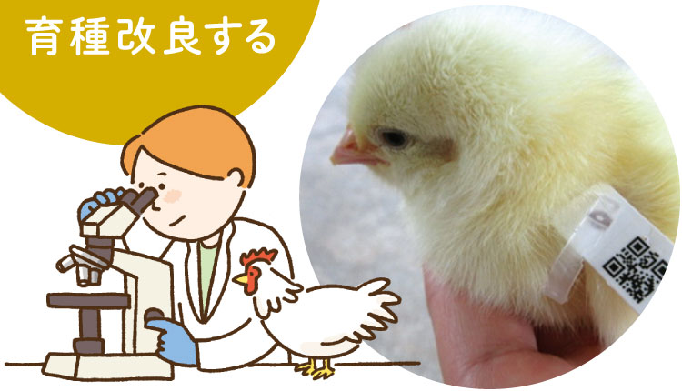 育種改良する