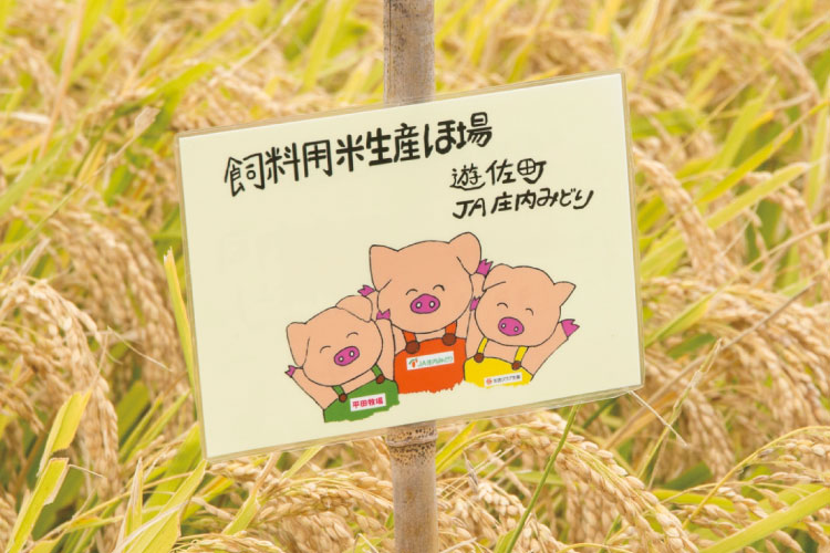 飼料用米生産ほ場の写真