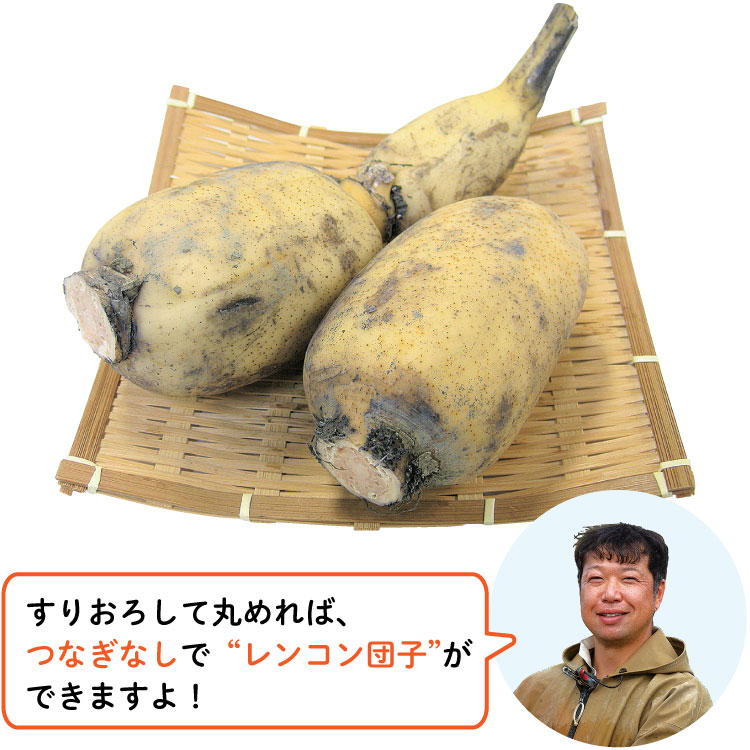 すりおろして丸めれば、つなぎなしで“レンコン団子”ができますよ！