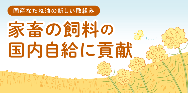 国産なたね油の新しい取組み 家畜の飼料の国内自給に貢献
