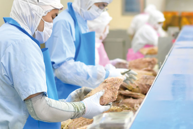 キャットフードの製造工場