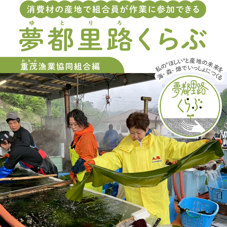 国産なたね油の新しい取組み 家畜の飼料の国内自給に貢献