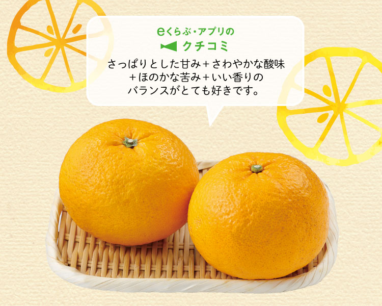 甘夏みかん　口コミ