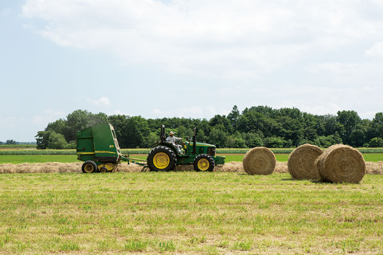 北海道産の飼料栽培