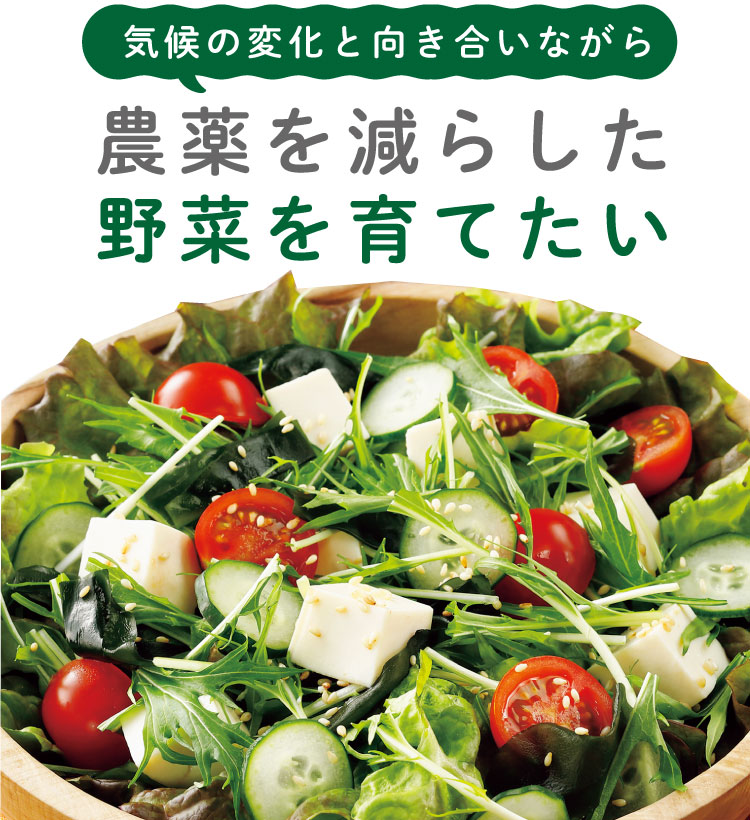 気候の変化と向き合いながら農薬を減らした野菜を育てたい