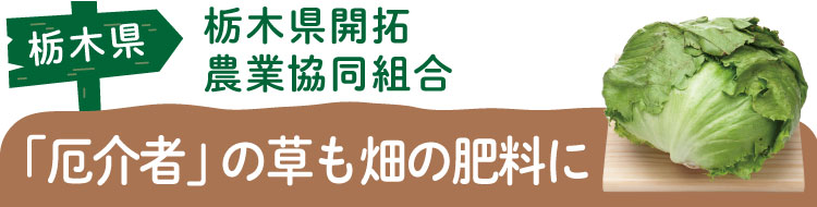 栃木県 栃木県開拓農業協同組合　「厄介者」の草も畑の肥料に