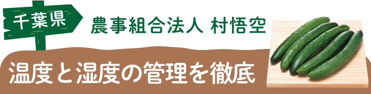 千葉県 農事組合法人 村悟空 温度と湿度の管理を徹底