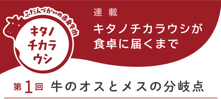 【連載】キタノチカラウシが食卓に届くまで