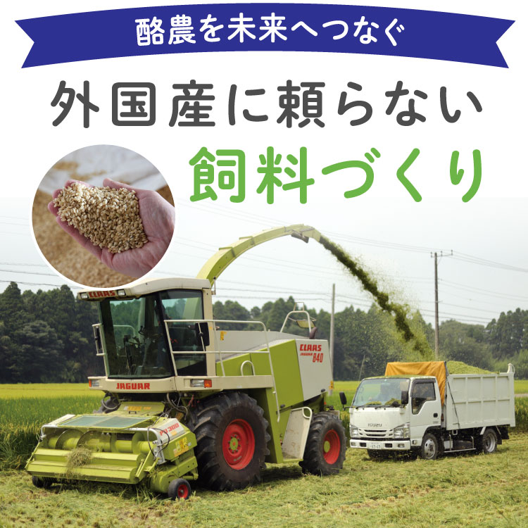 酪農を未来へつなぐ 外国産に頼らない飼料づくり