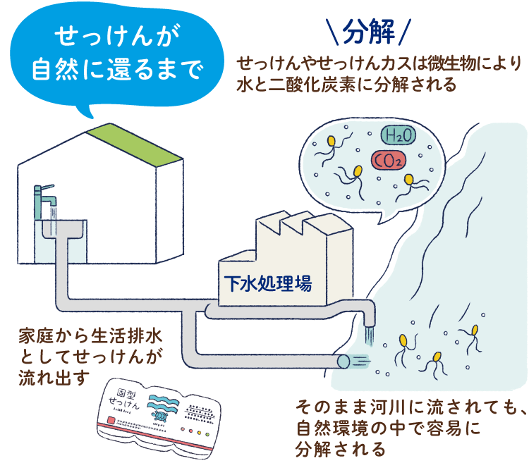 せっけんが自然に還るまで