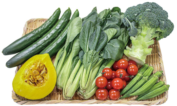 あっぱれ・はればれ野菜6点セット
