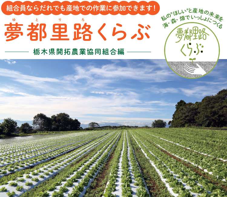 組合員ならだれでも産地での作業に参加できます!夢都里路くらぶ<栃木県開拓農業協同組合編>