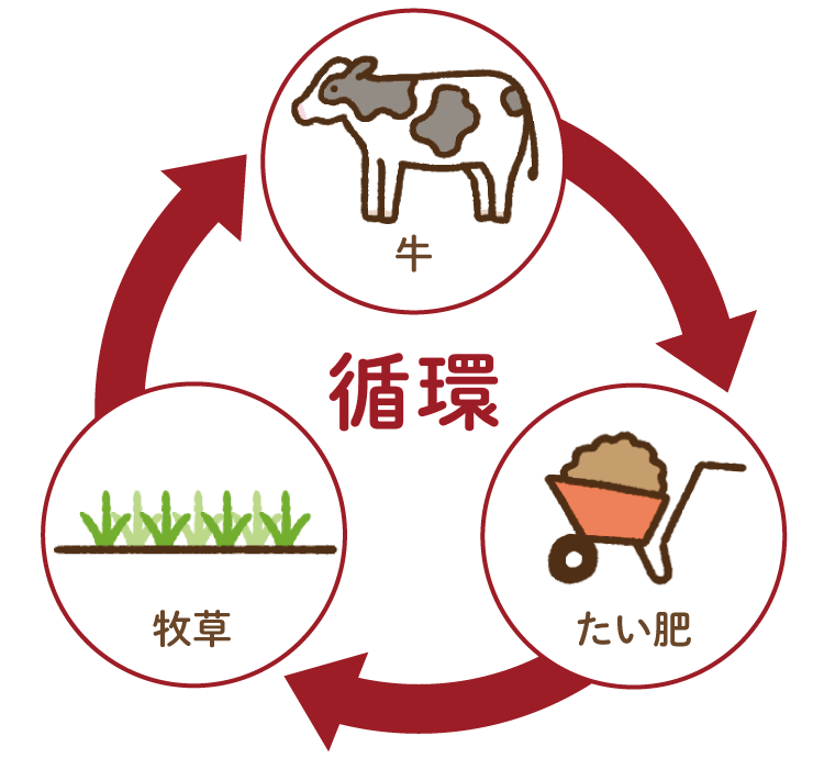 循環図 牛⇒たい肥⇒牧草⇒牛