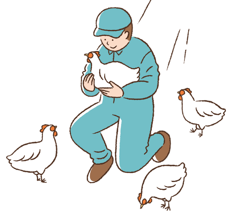 生産者と鶏イラスト