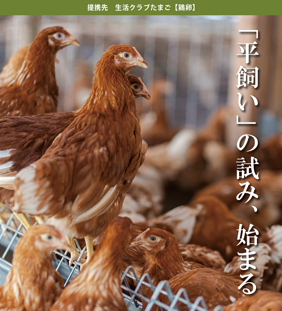 平飼い の試み 始まる 鶏卵 生協の食材宅配 生活クラブ生協