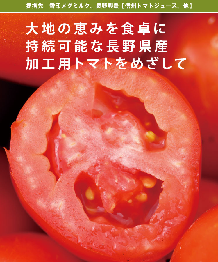 大地の恵みを食卓に 持続可能な長野県産 加工用トマトをめざして 提携先 雪印メグミルク、長野興農【信州トマトジュース、他】