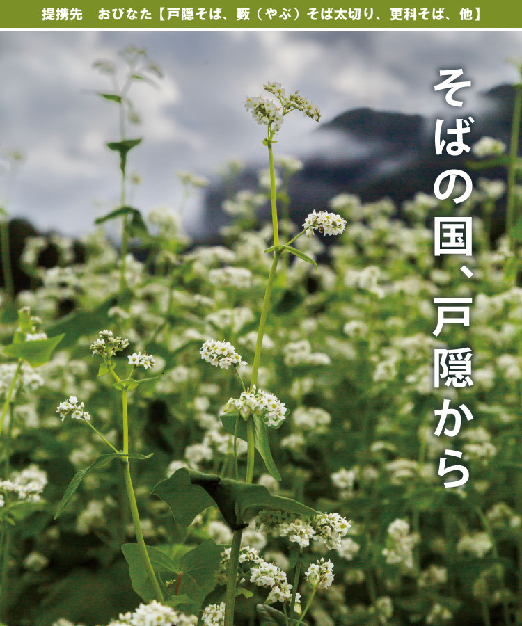 そばの国、戸隠から　おびなた【戸隠そば、薮（やぶ）そば太切り、更科そば、他】