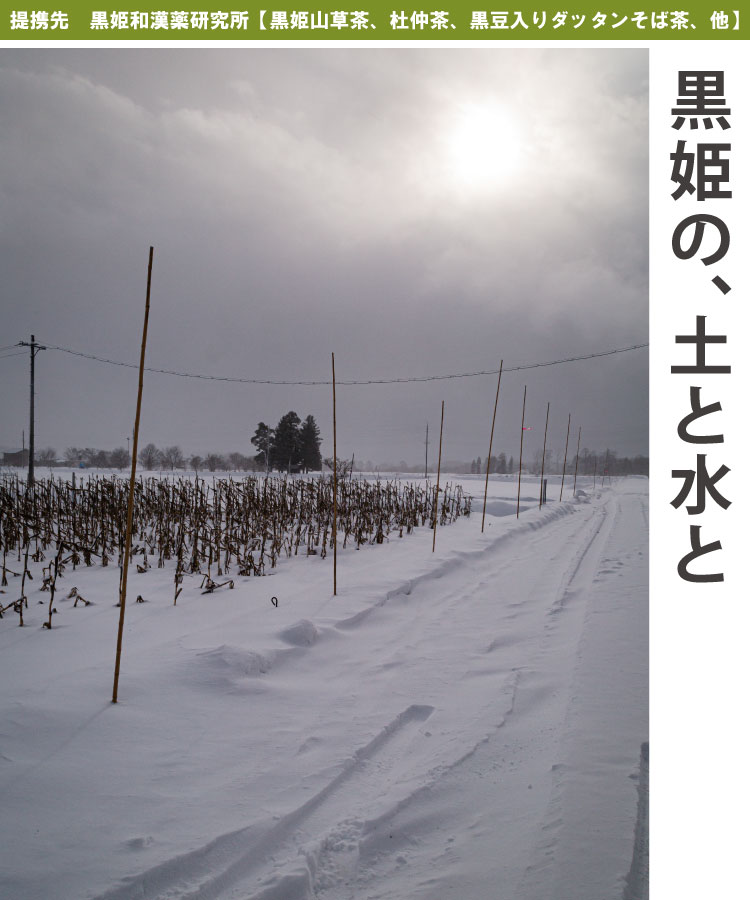 黒姫の、土と水と　提携先：黒姫和漢薬研究所【黒姫山草茶、杜仲茶、黒豆入りダッタンそば茶、他】