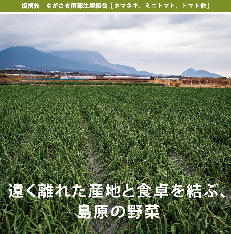 遠く離れた産地と食卓を結ぶ、島原の野菜