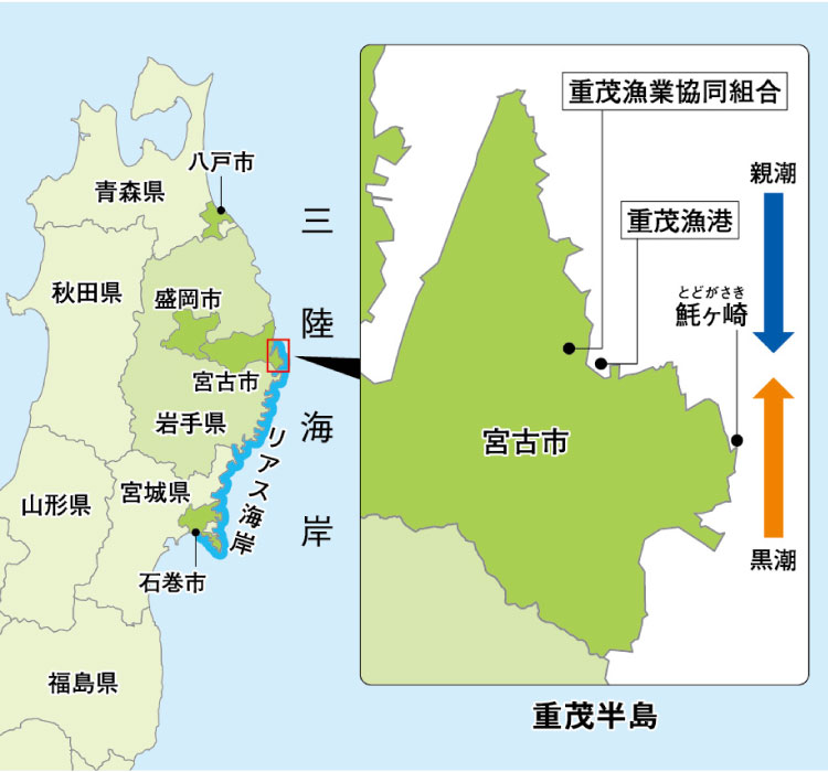 重茂漁業協同組合（地図）