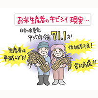 ニュース・記事画像