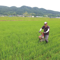 ニュース・記事画像