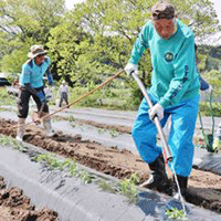 農作業支援　買い支え―ＪＡながの×生活クラブ連合会（日本農業新聞）