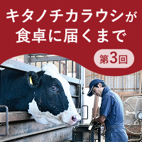 ニュース・記事画像