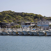 どうなる？　日本の沿岸漁業　改正漁業法の影響は (下)