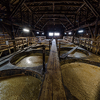 丸大豆醤油、秋の仕込みから小麦は国産100％で