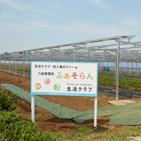 重要目標5：原発のない社会をめざして ソーラーシェアリングでつながる農業福祉の連携