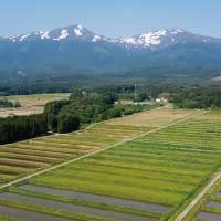 共同開発米は米づくりの環境を次世代につなぐ「バトン」