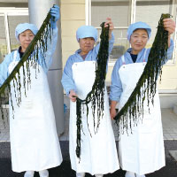 東北の水産物を未来につなぐために！持続可能な漁業をすすめる「三陸のいま」